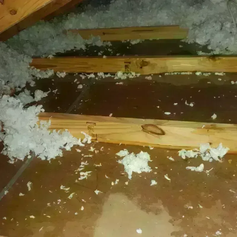 Attic Water Damage in Vienna, IL