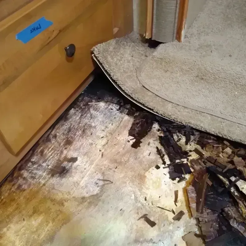 Wood Floor Water Damage in Vienna, IL